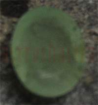 No Image Found